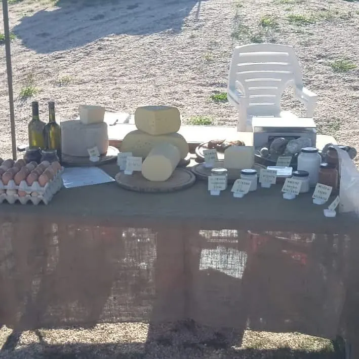 Mesa de venta en la ruta