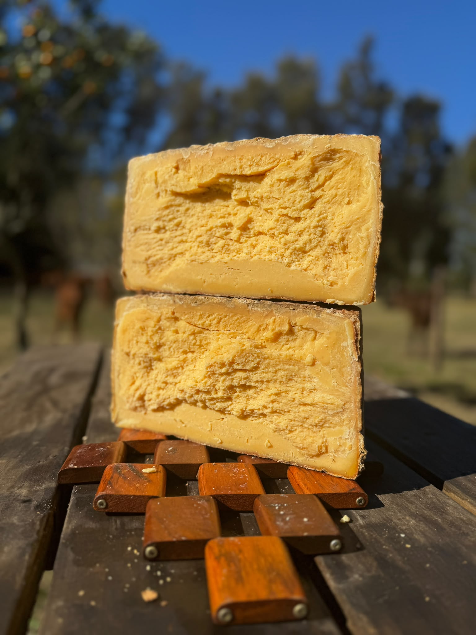 Corte de queso artesanal sobre tabla en el campo