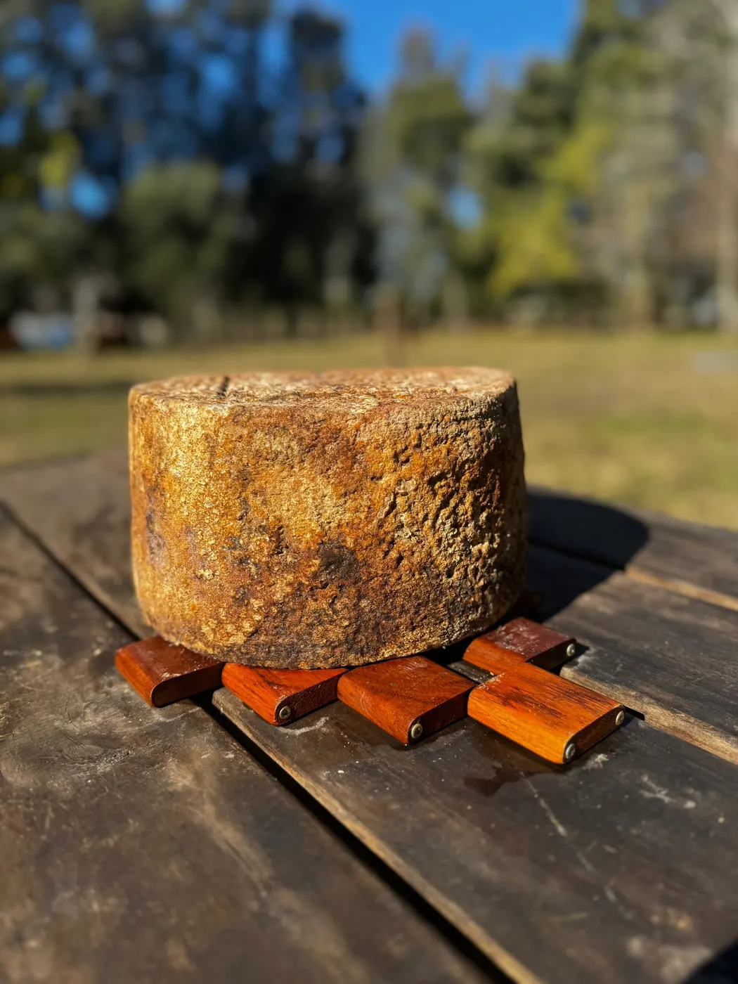Queso duro añejo artesanal