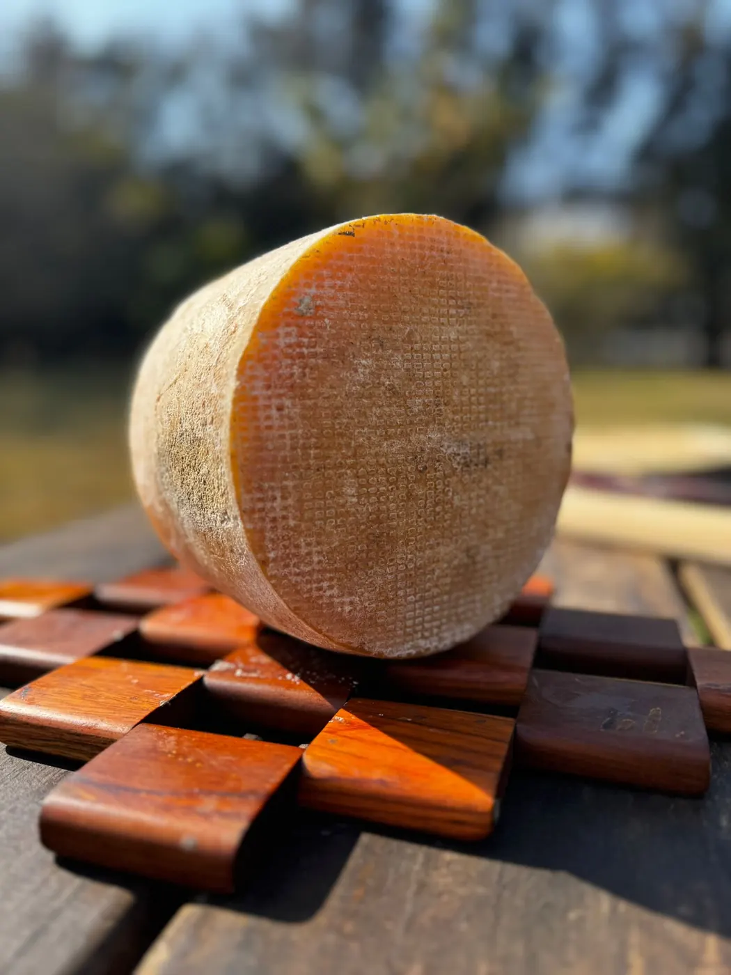 Queso parmesano artesanal